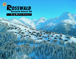 Rosswald_logo